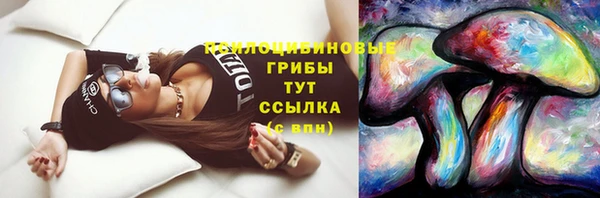 ALPHA PVP Семёнов